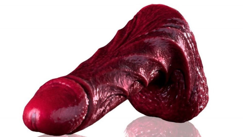 Fleshlight Drac Freaks Dildo | MALAYSIA HEU7028