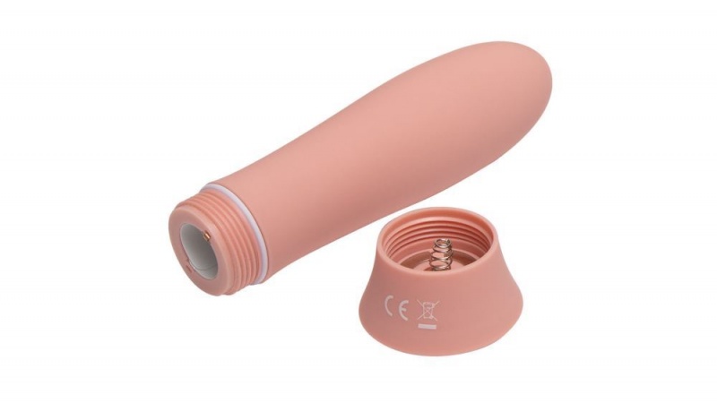 Fleshlight Poppy Bloom Bullet Vibrators | MALAYSIA KIF9083